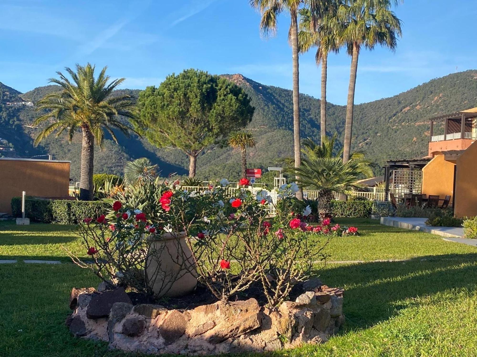 Vue Mer Et Jardin Théoule-sur-Mer Екстериор снимка